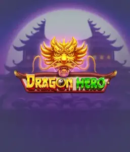 Join a legendary quest with Dragon Hero Slot by Pragmatic Play, featuring vivid visuals of powerful dragons and epic encounters. Venture into a world where magic meets excitement, with symbols like enchanted weapons, mystical creatures, and treasures for a thrilling gaming experience.